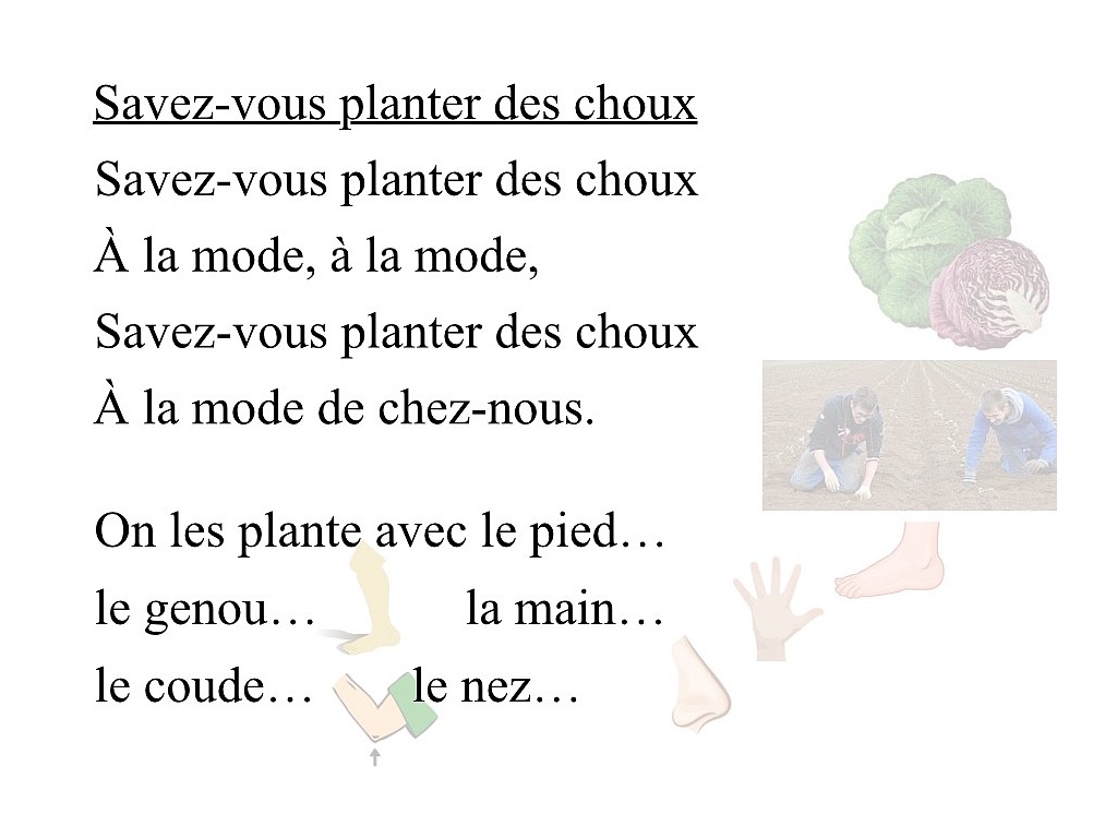 Savez Vous Planter Des Choux Language Showme