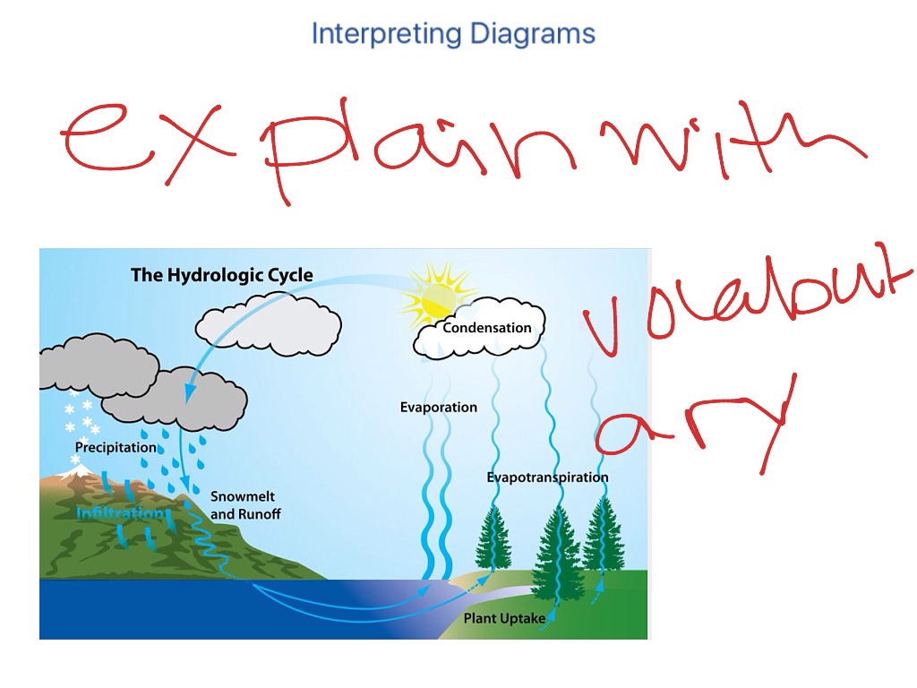 Interpreting Diagrams Science Showme