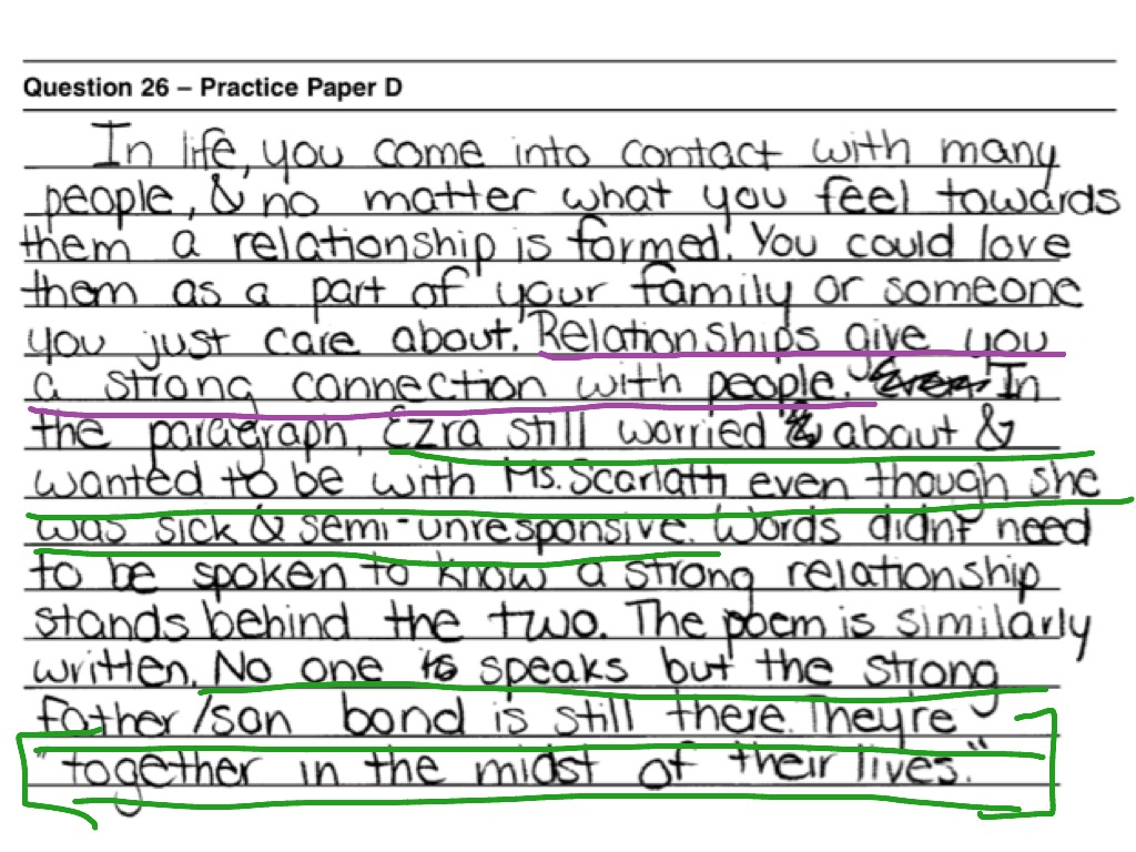 Best Essay Answer Every Question