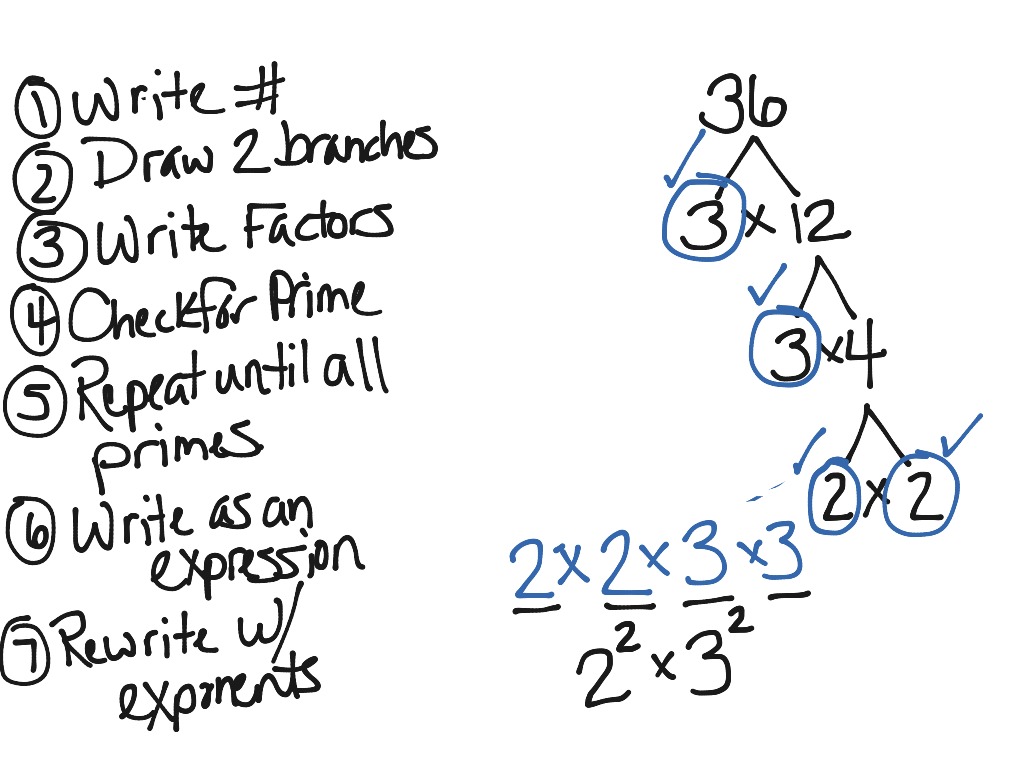 showme-180-factor-tree