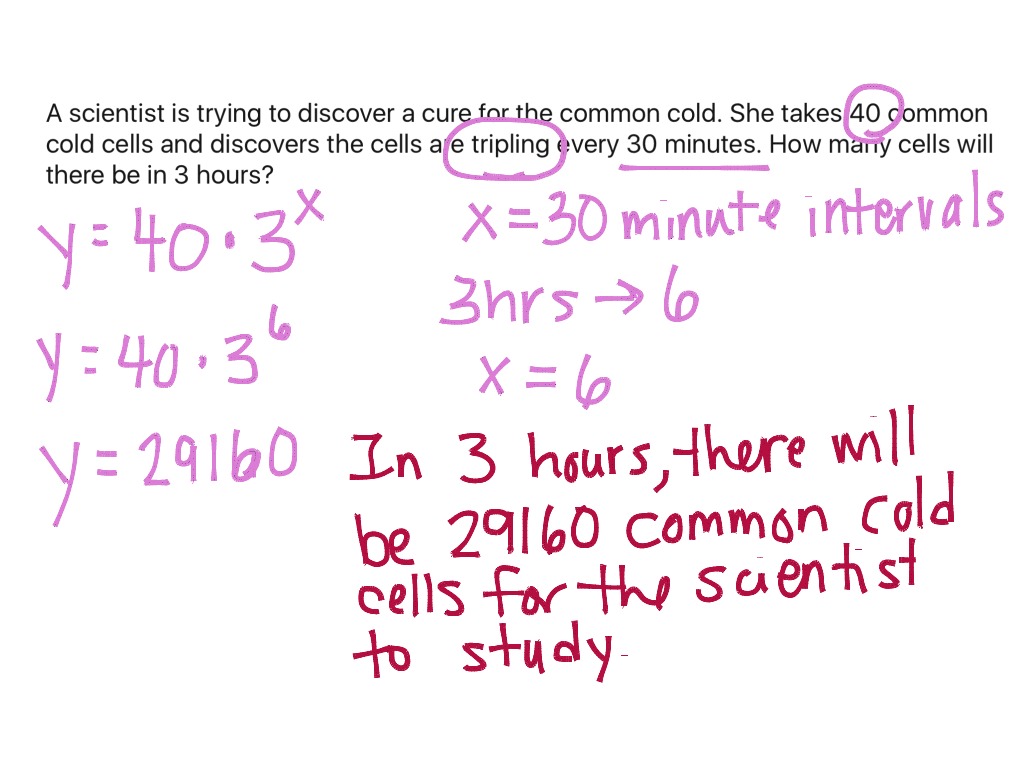 Exponential Growth And Decay Worksheet