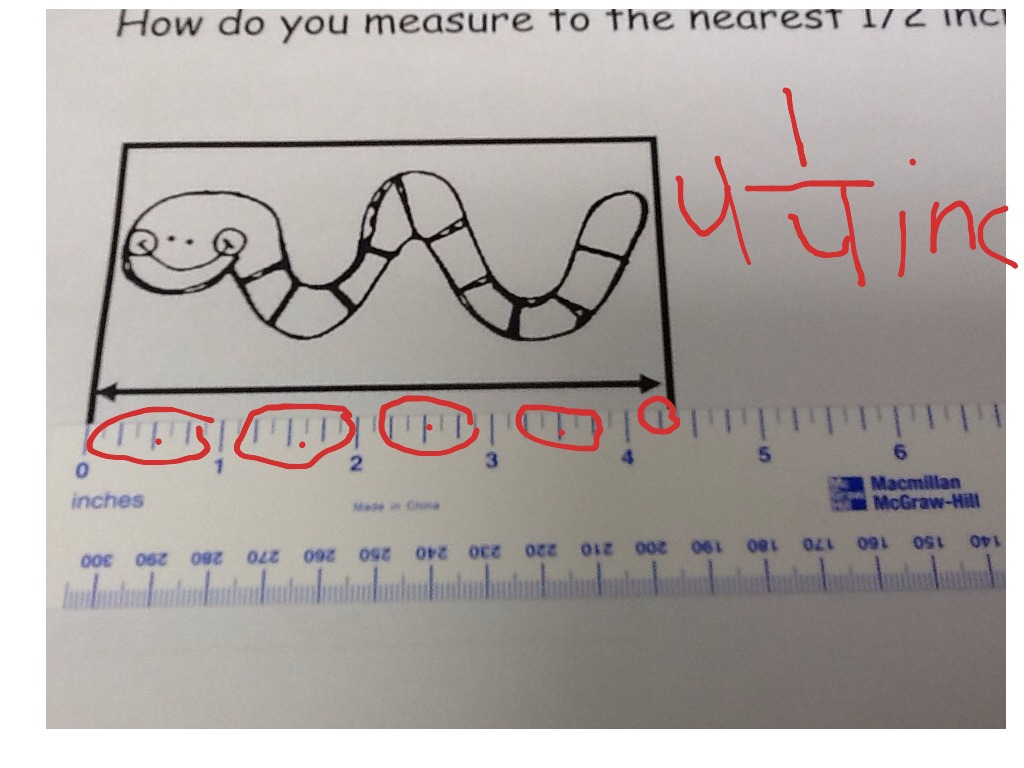 how-do-you-measure-to-the-nearest-1-4-inch-math-showme