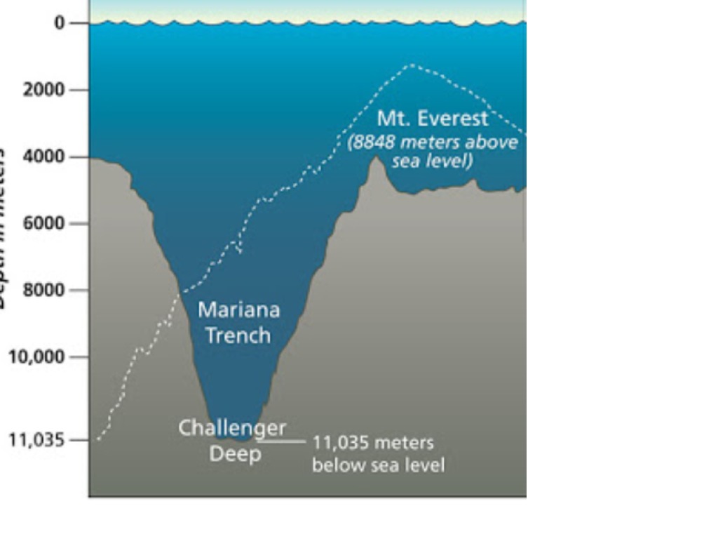 Какой город находится на уровне моря. Марианская впадина рельеф дна. Атлантический океан Марианская впадина. Марианская впадина на карте. Самые глубокие впадины в океанах.