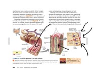 course-thumbnail