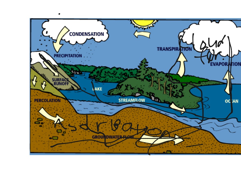watershed definition
