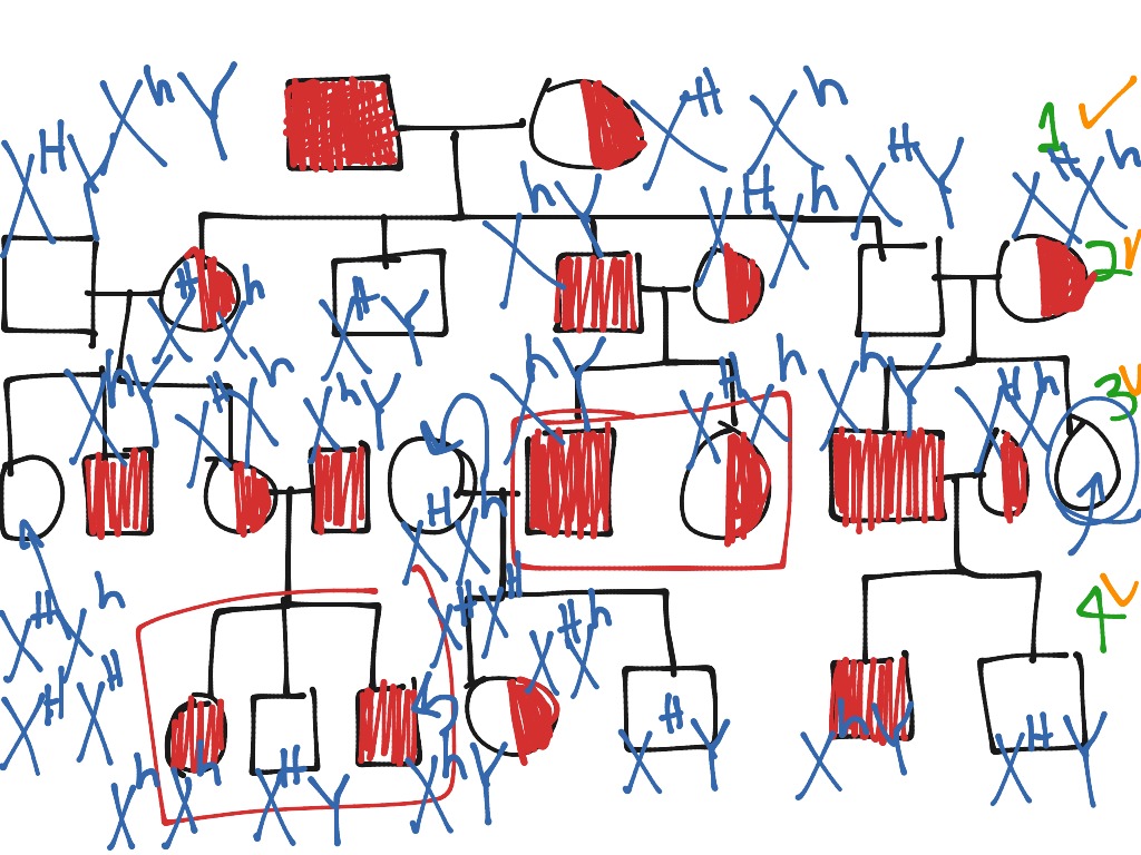 Haemophilia Pedigree Chart