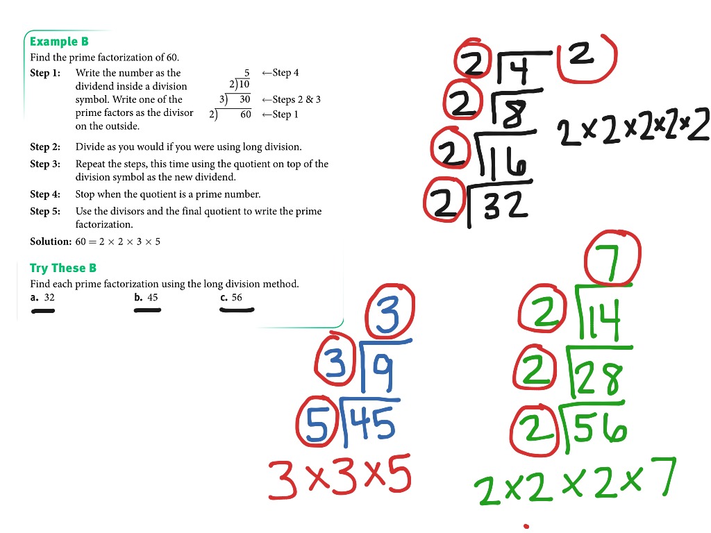 course 1, Lesson 2-1 | Math | ShowMe