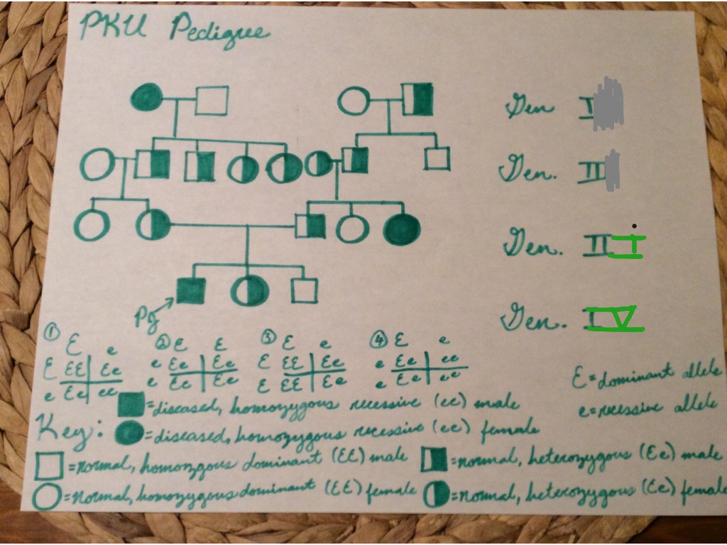 PKU Pedigree Science, Biology, ShowMe