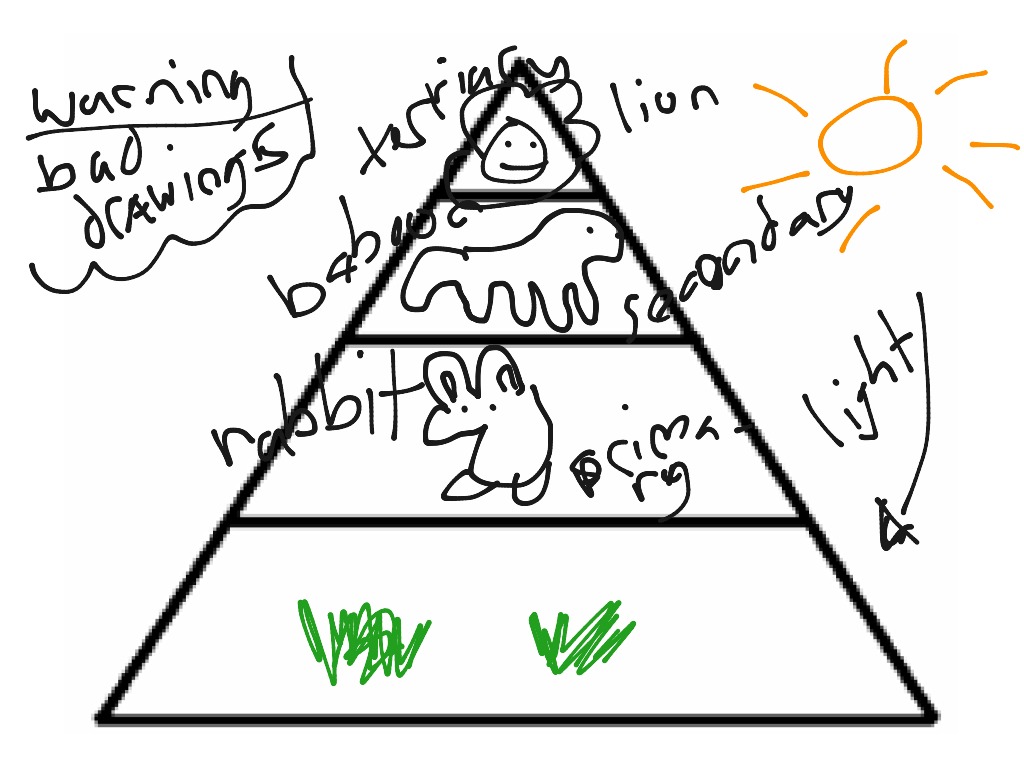 ShowMe energy pyramid