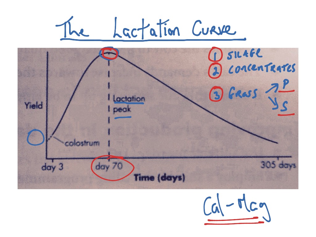 the-lactation-curve-for-dairy-cows-science-showme