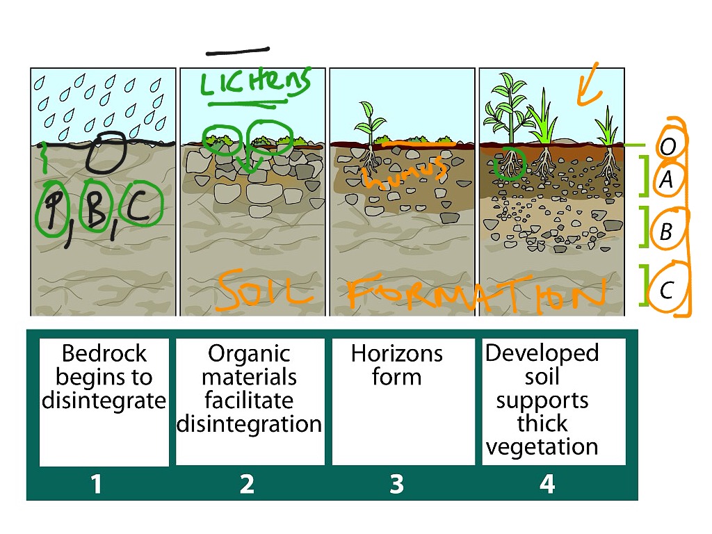 Soil Formation Science Showme