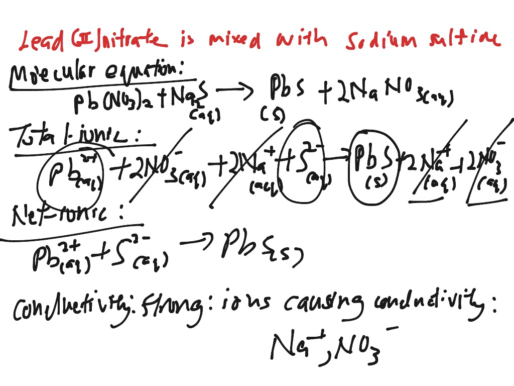 Lead Ll Nitrate Is Mixed With Sodium Sulfide Science Chemistry Showme