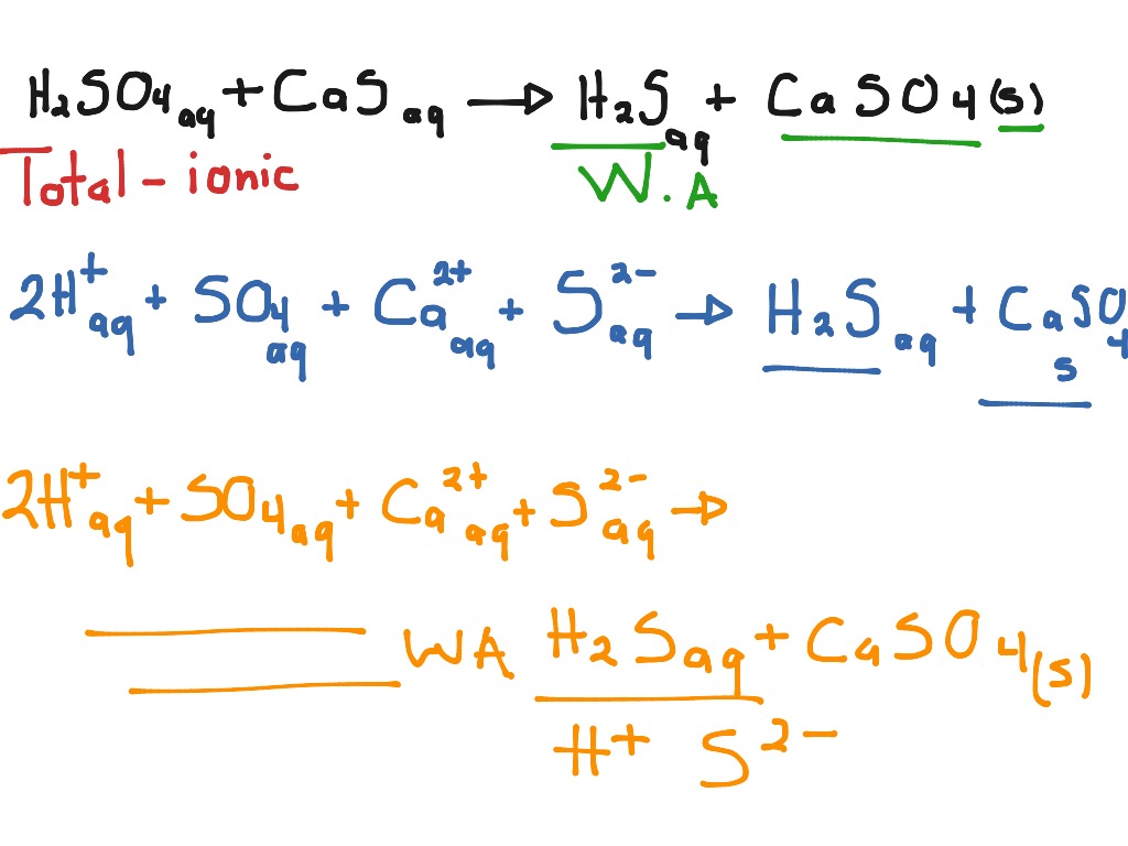 Sulfuric acid with calcium sulfide net-ionic equation | Science | ShowMe