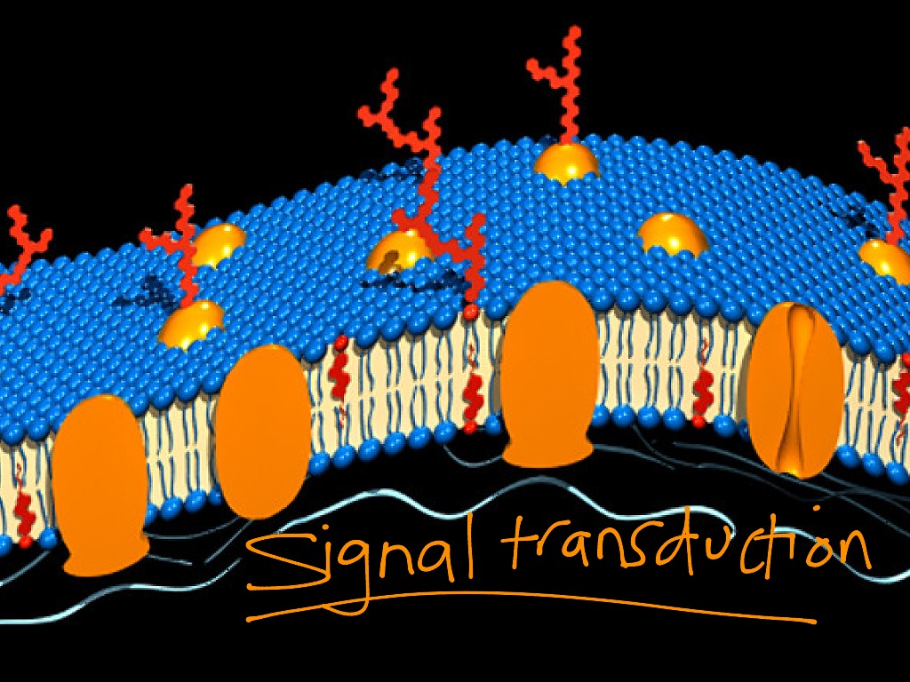 most-viewed-thumbnail