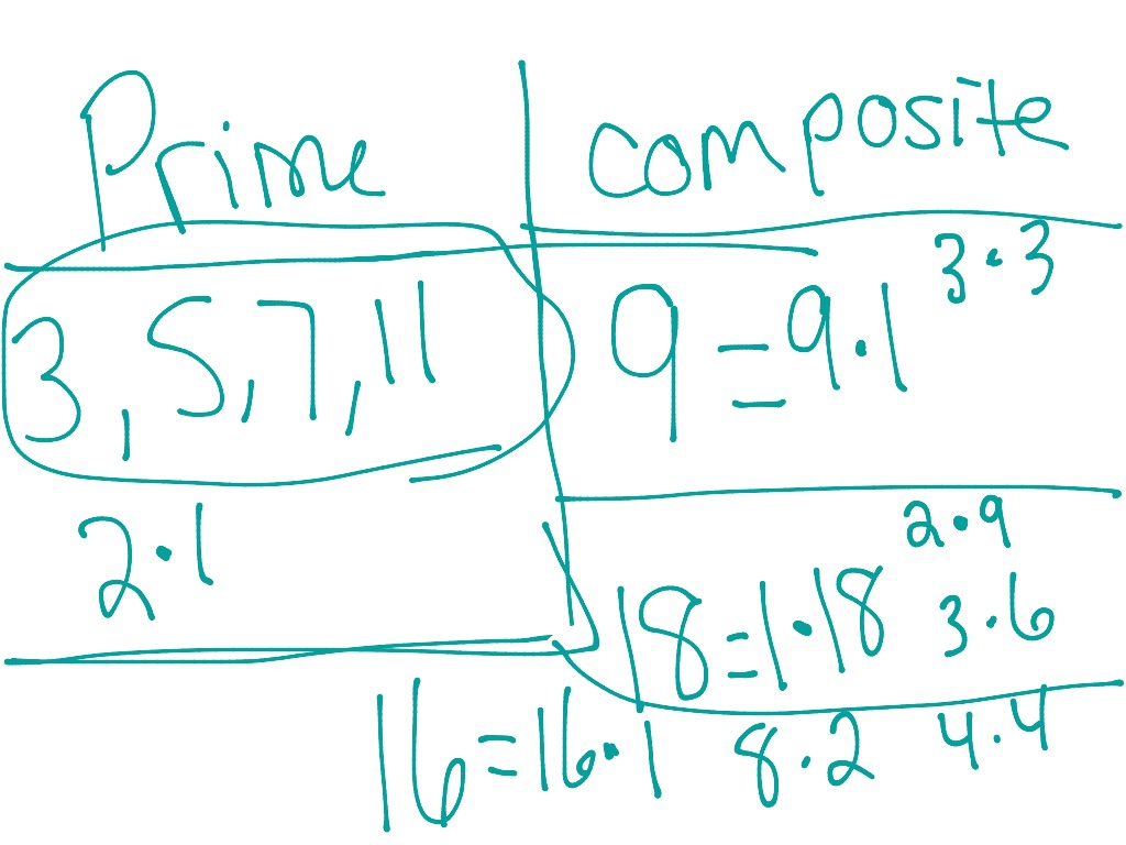 Prime And Composite 