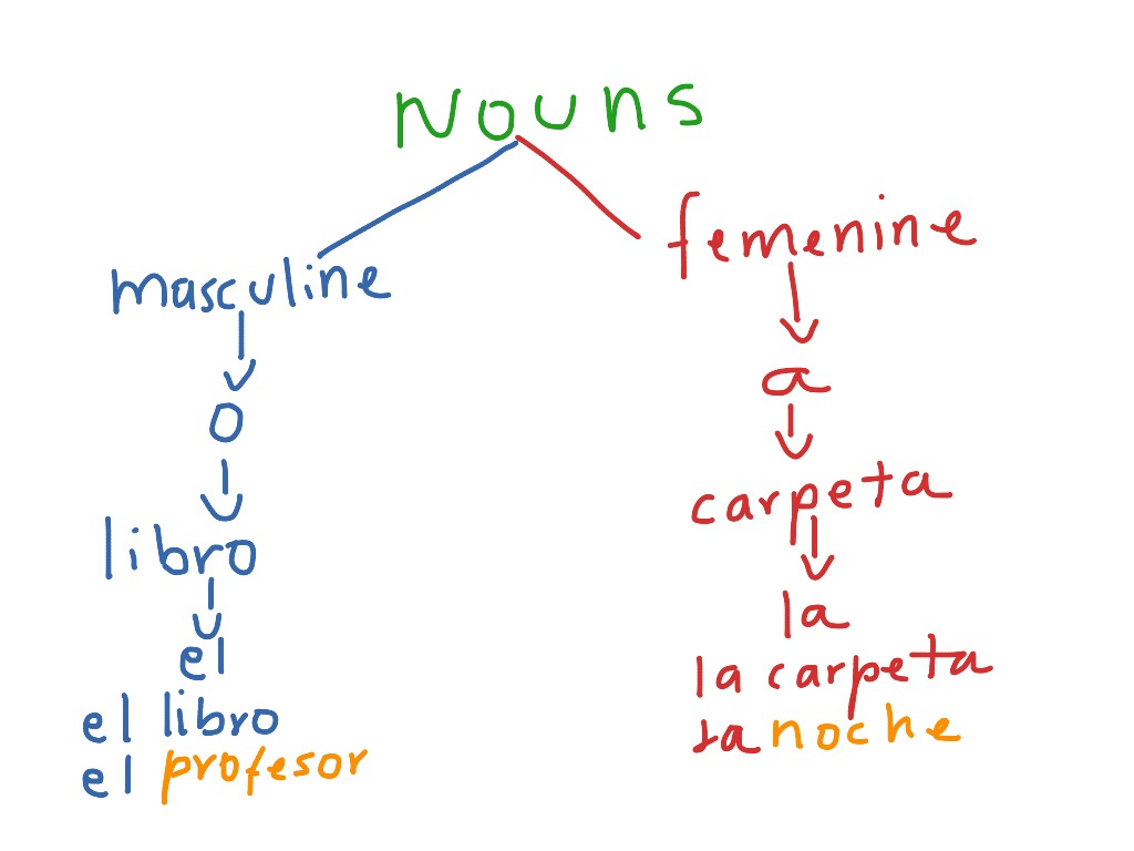 nouns-in-spanish-spanish-showme