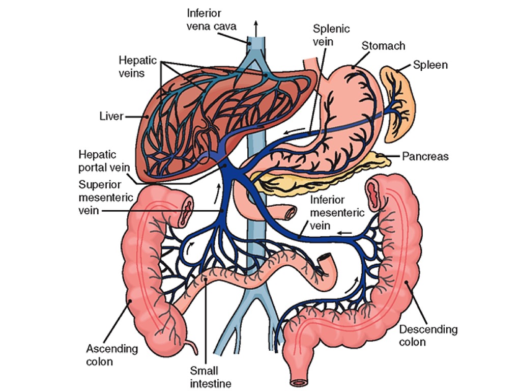 Portal hypertension