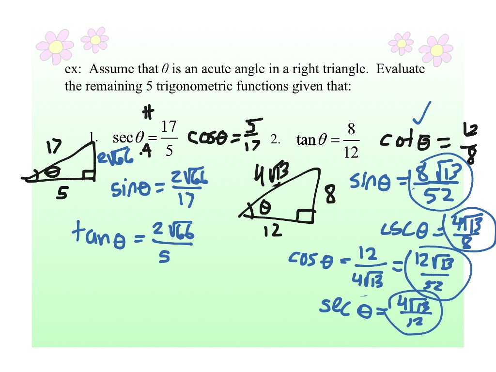 ShowMe - reference triangles