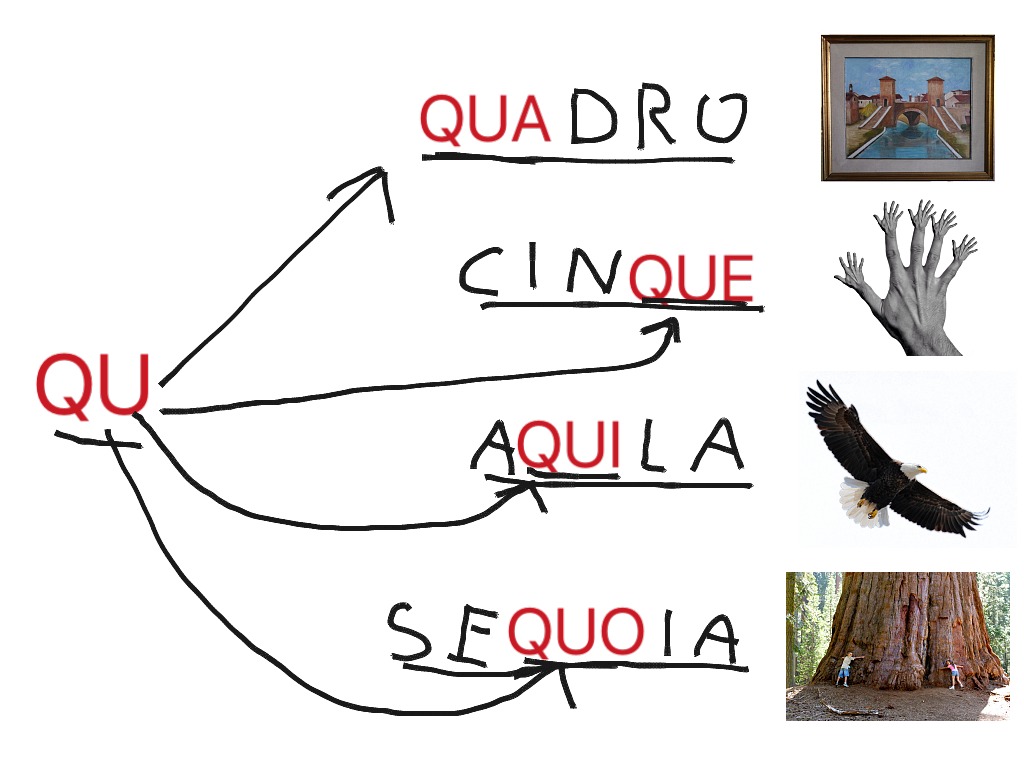 Qua que qui quo Language, Italian ShowMe