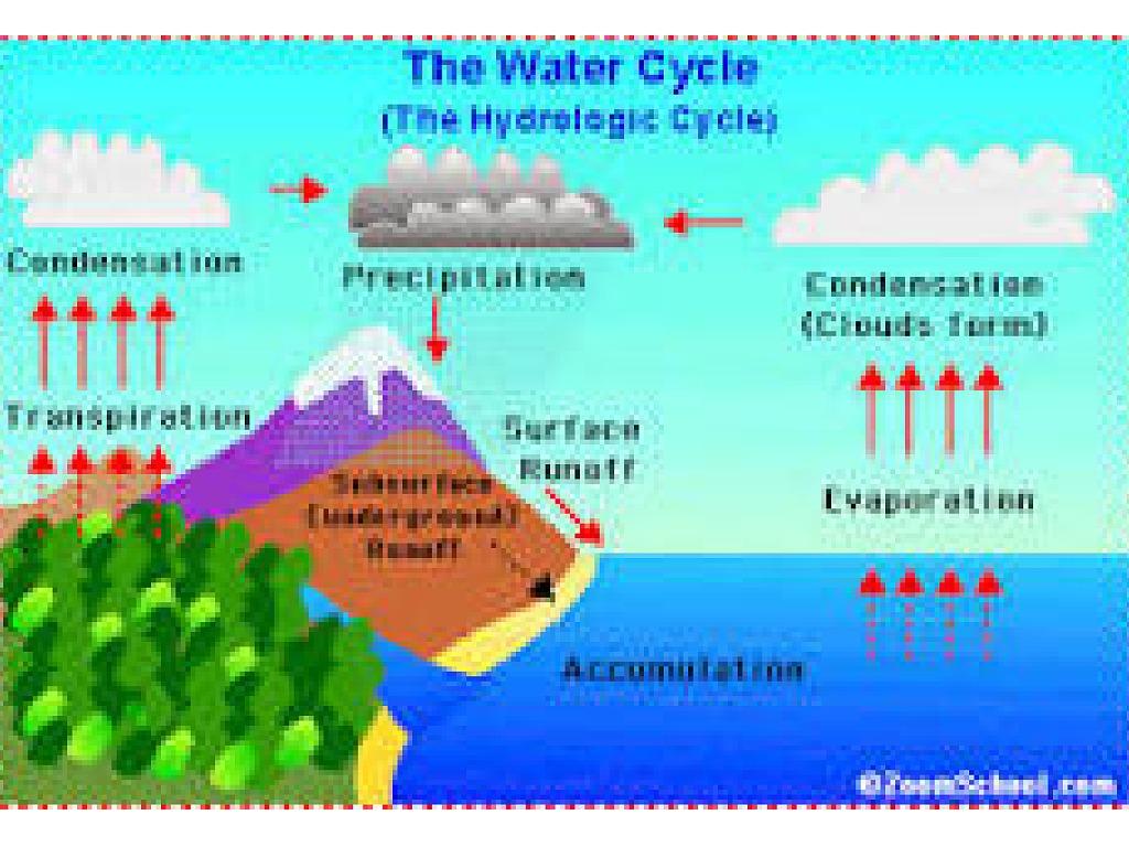 water cycle | Science, Earth-science, Water-cycle, Drawing | ShowMe