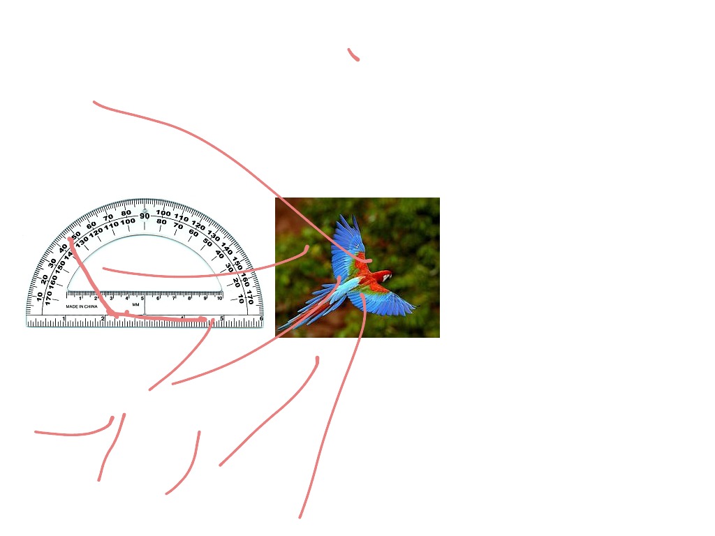 most-viewed-thumbnail