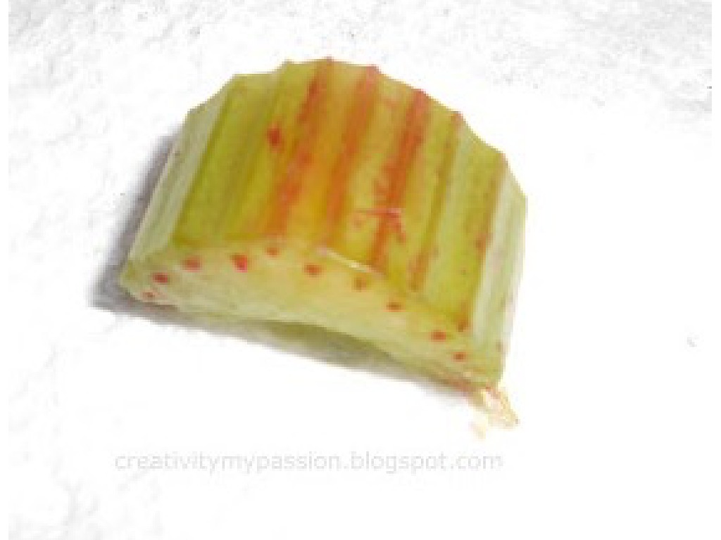 Celery lab Science ShowMe