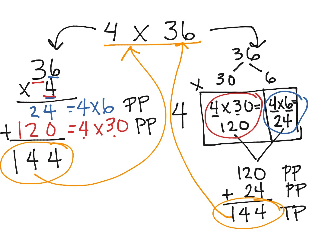 2-digit-by-1-digit-open-array-expanded-algorithm-math-elementary-math-math-4th-grade