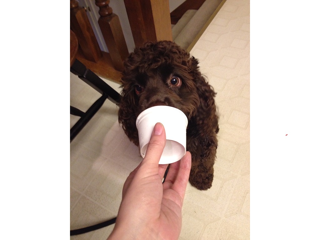 most-viewed-thumbnail