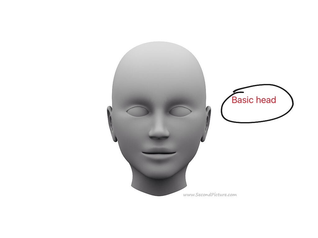 Из под головы. Референс голова женская из глины с трещинами. Head turn reference. Human head reference.