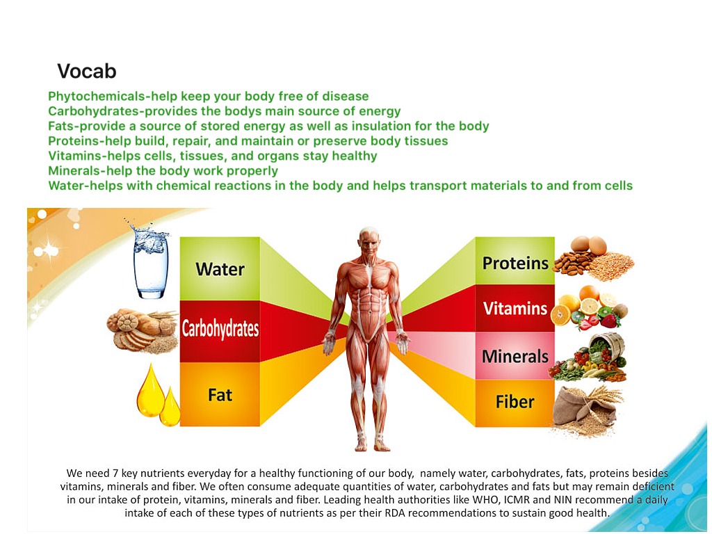 Rate nutrition. Proteins fats carbohydrates. Vitamin Mineral Protein. Картинка Proteins fats carbohydrates Vitamins. Vitamins and Minerals.