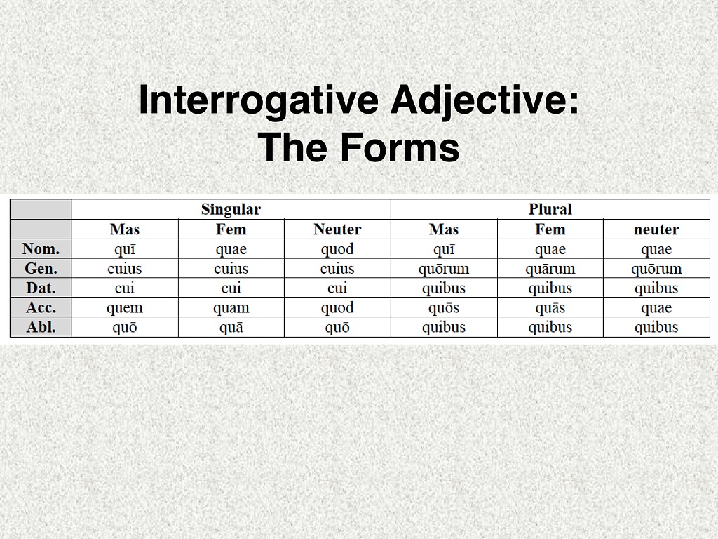 Interrogative Pronoun And Interrogative Adjective Take 2 Language 