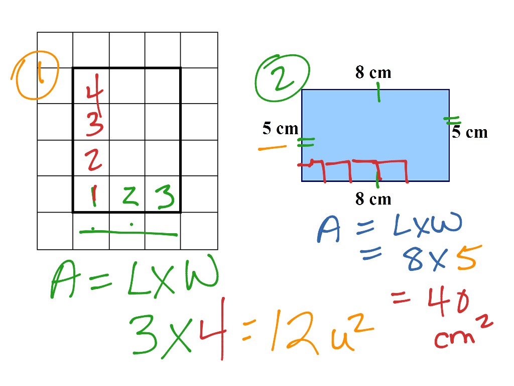 area-of-rectangles-math-geometry-area-showme