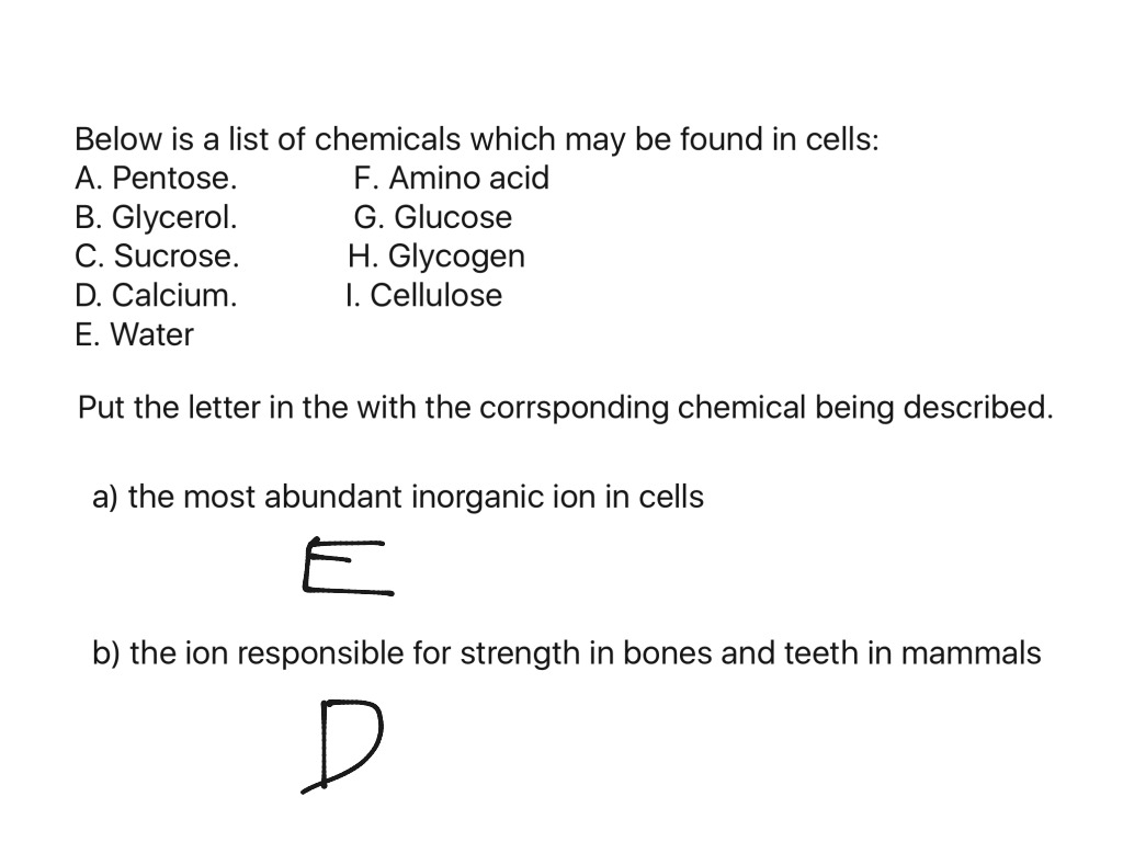 ions in biology essay
