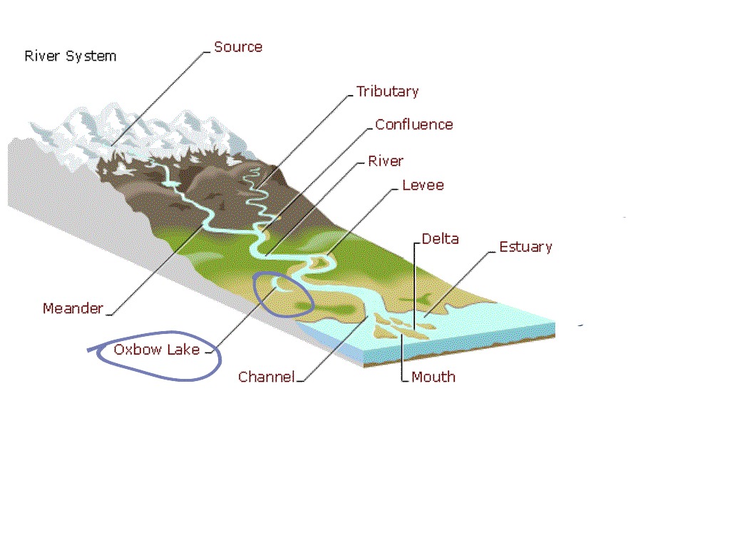 This river перевод. Parts of the River. River System. Source of the River. Delta diagram Rivers.