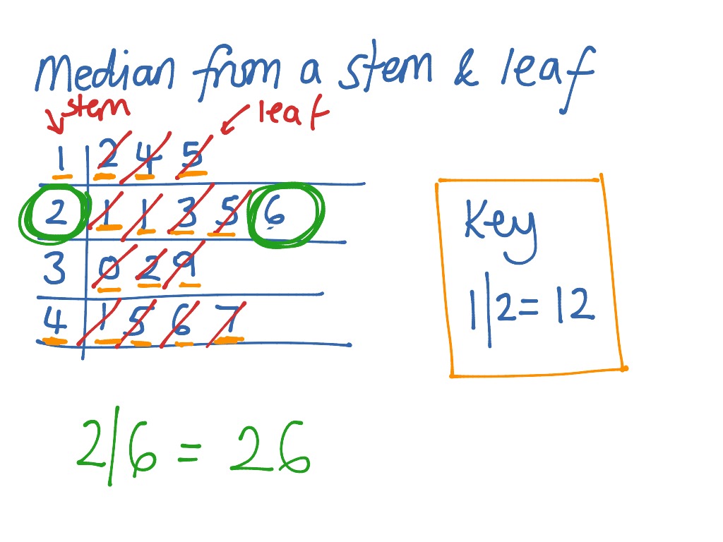 40-listen-von-stem-and-leaf-diagramm-diese-werden-hierf-r-in-einen-stamm-sowie-in-an-diesen