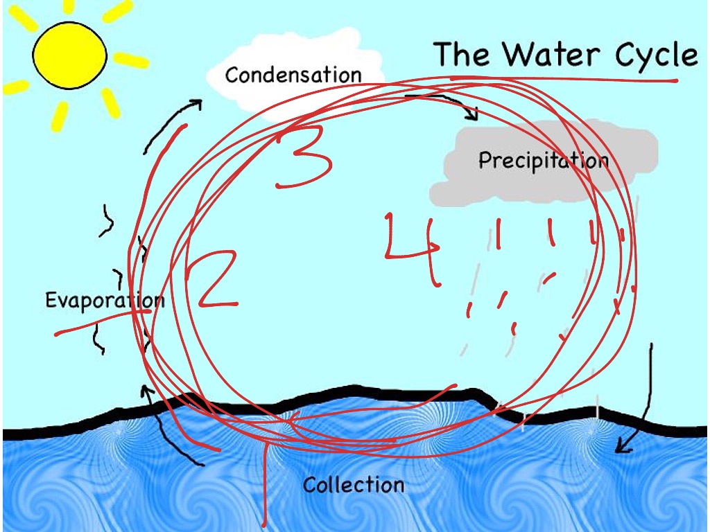 The Water Cycle Science Environment Earth Science Showme