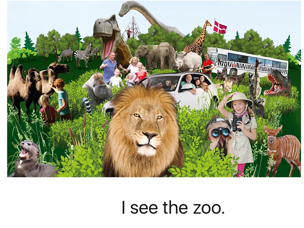 How about going to the zoo. Баннер зоопарк. Тайган сафари парк.