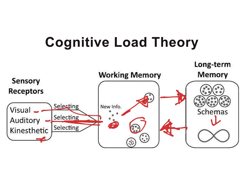 cognitive-load-theory-assumptions-psychology-showme