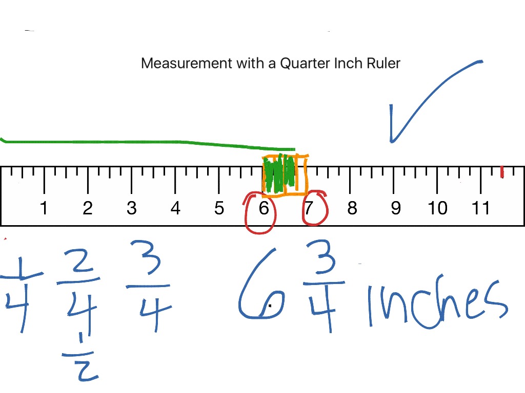 Measurement on a Quarter Inch Ruler Lesson 1 | Math, Elementary Math 