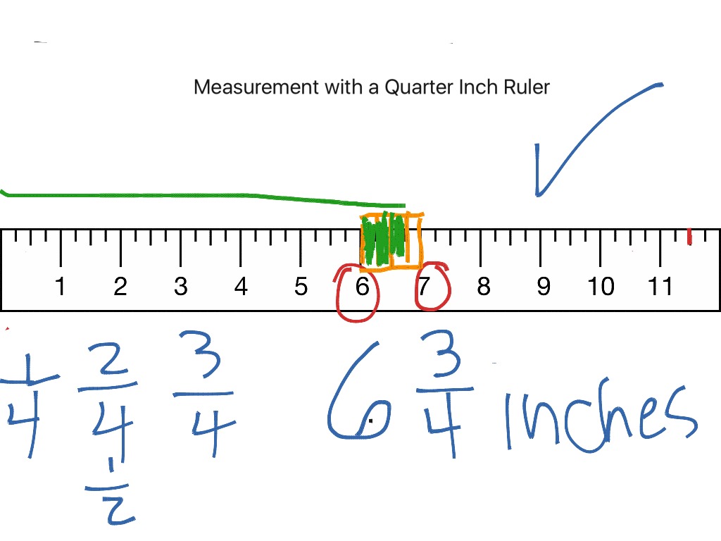 Measurement On A Quarter Inch Ruler Lesson 1 Math Elementary Math 