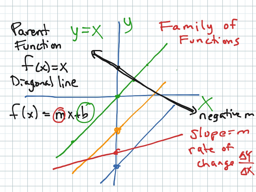 Linear parent function | Math | ShowMe