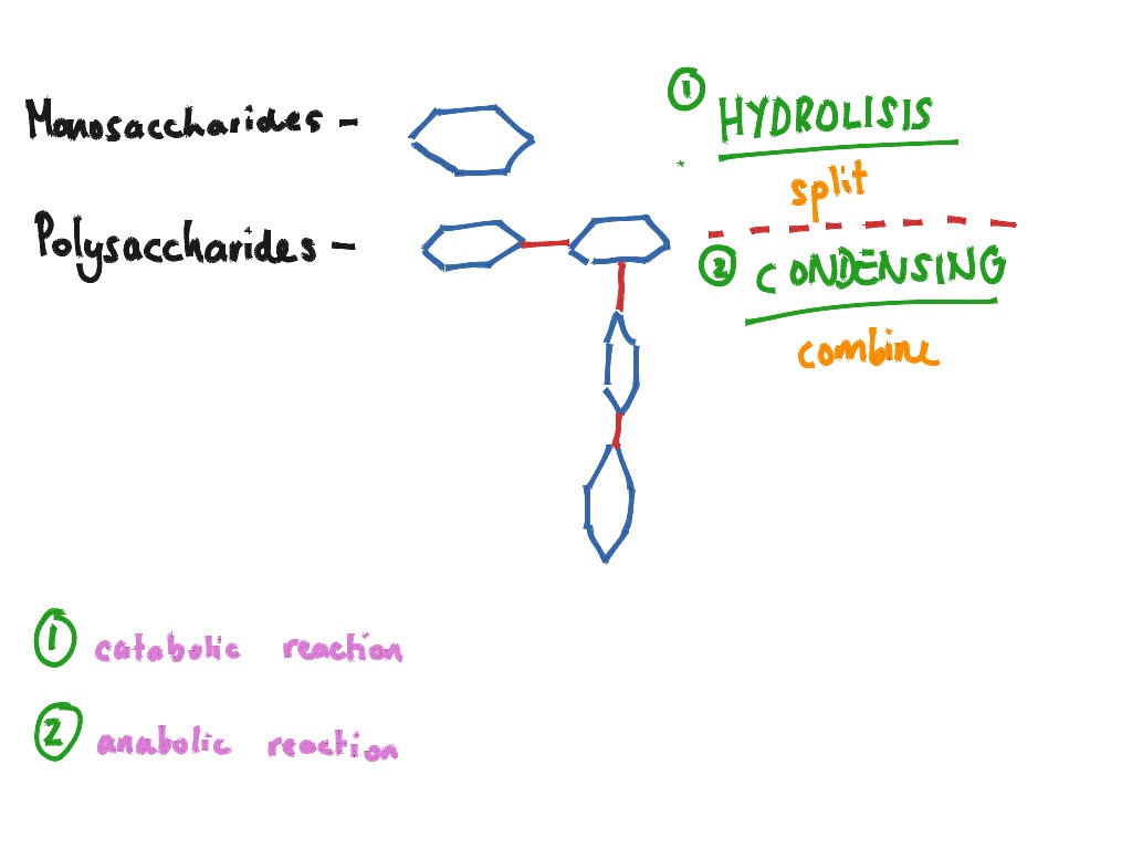 most-viewed-thumbnail