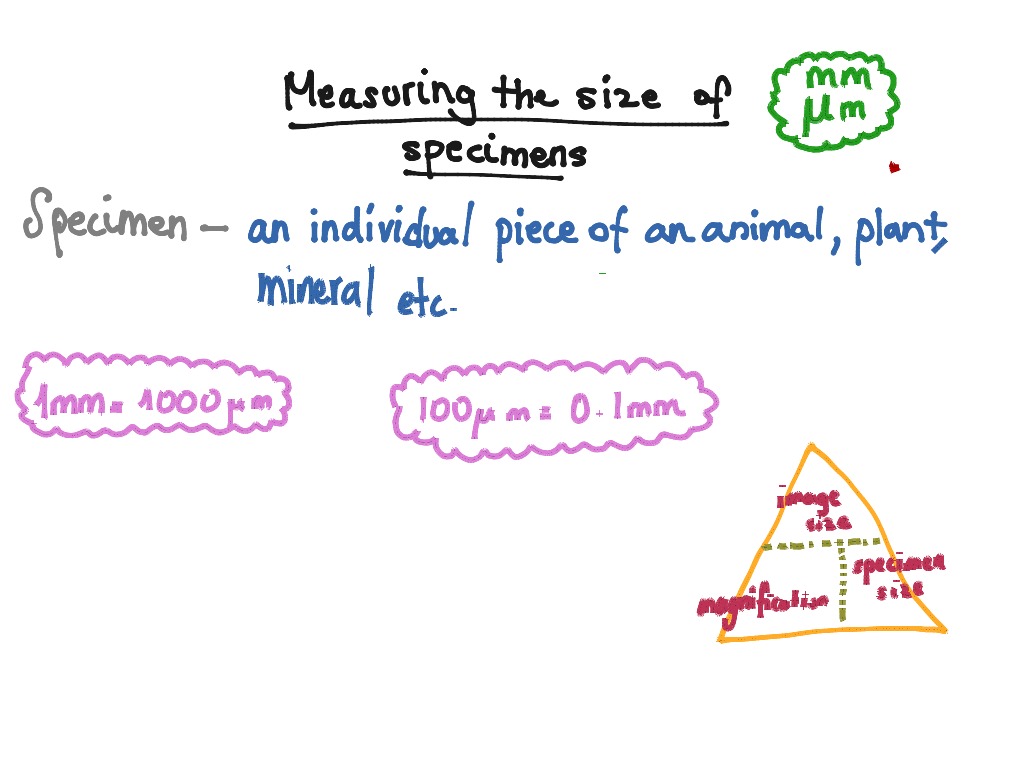 most-viewed-thumbnail