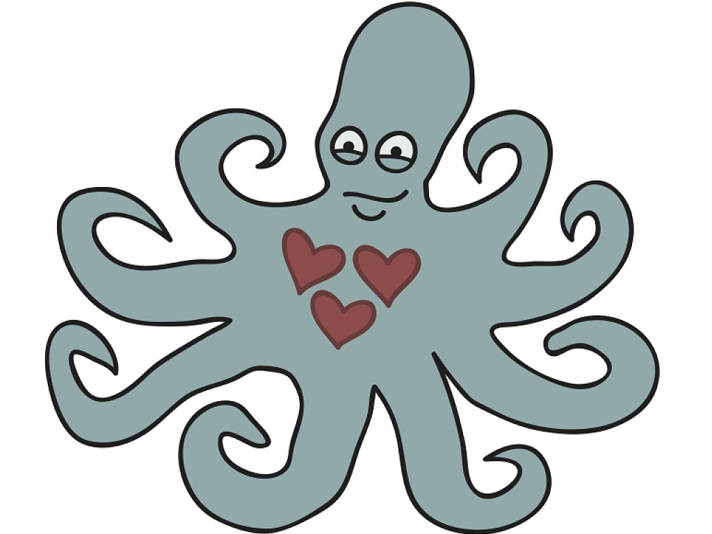 Pulpo cuantos corazones tiene