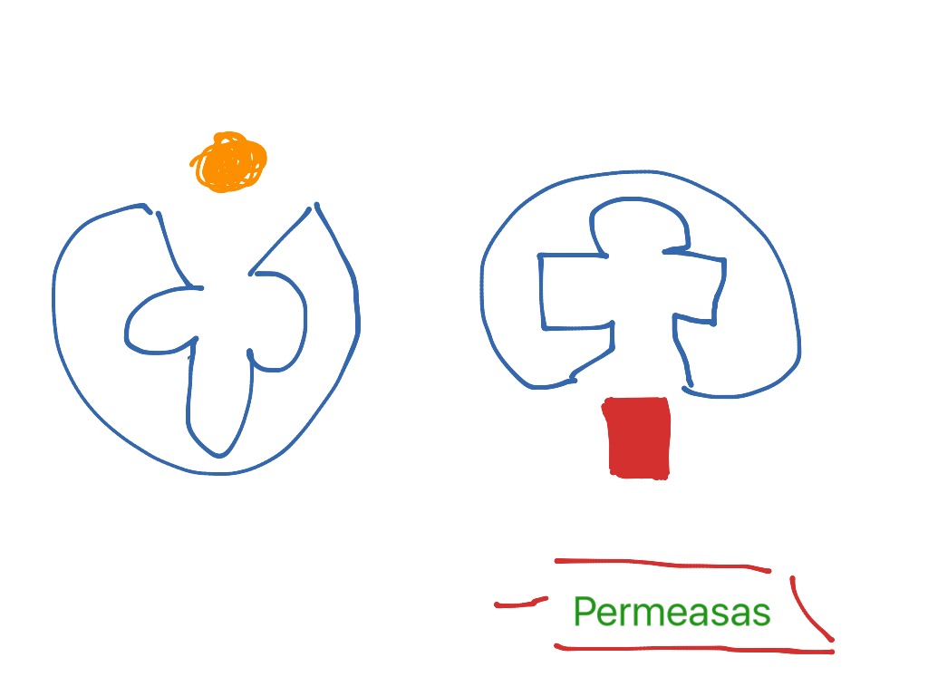 most-viewed-thumbnail