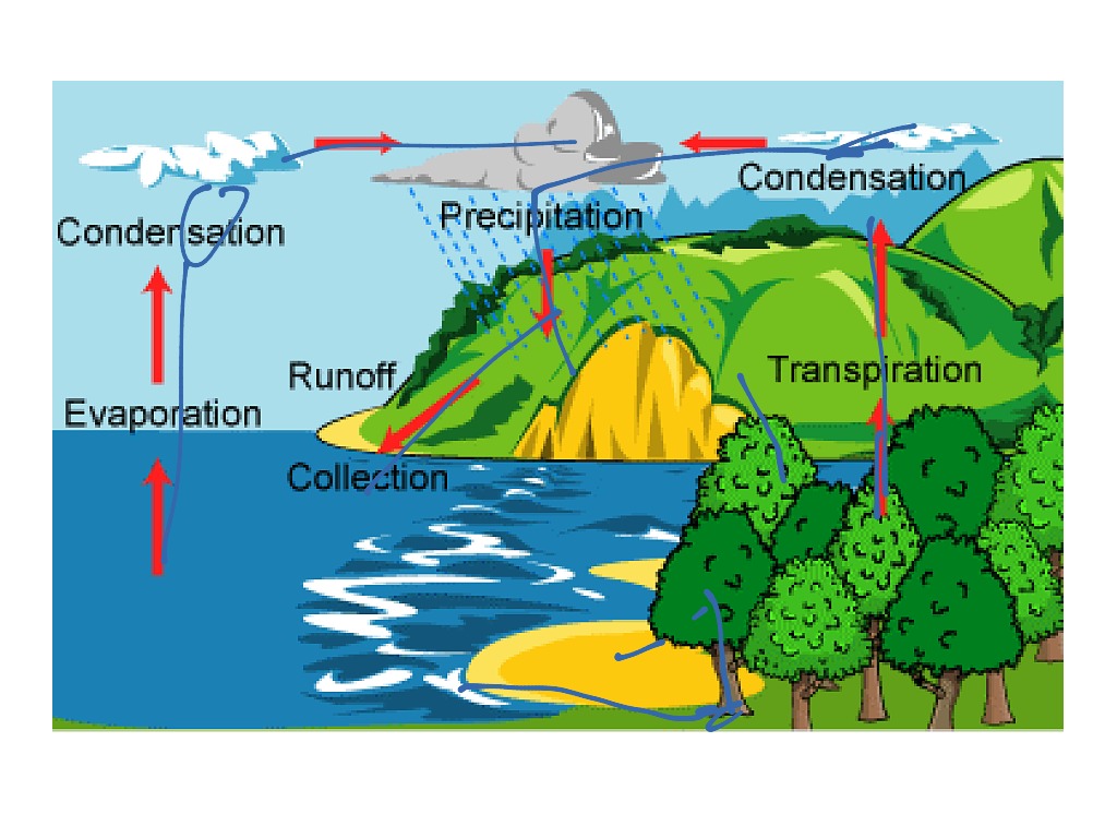 0 2 осадки. The Water Cycle condensation. Condensation process. Precipitation runoff. Condensation molonique.