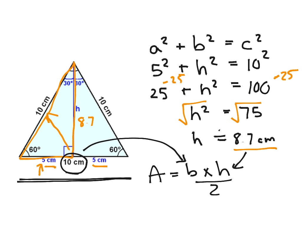Height Of A Triangle Math Showme 4991