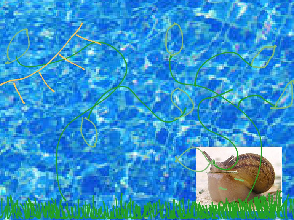 most-viewed-thumbnail