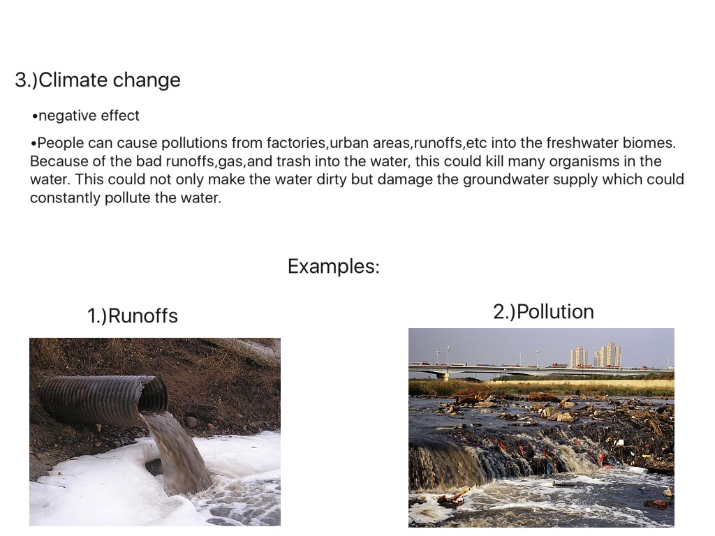 The Influence Of Freshwater Biomes