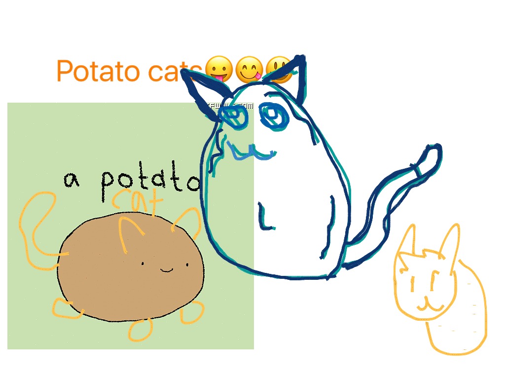 Potato Flew Around My Room | Potatoes | ShowMe
